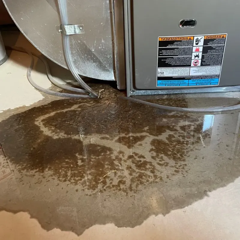 Pipe Burst and Leak Restoration in Linglestown, PA