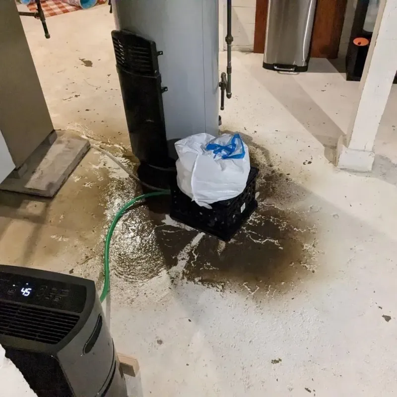 Sewage Backup Cleanup Service in Linglestown, PA